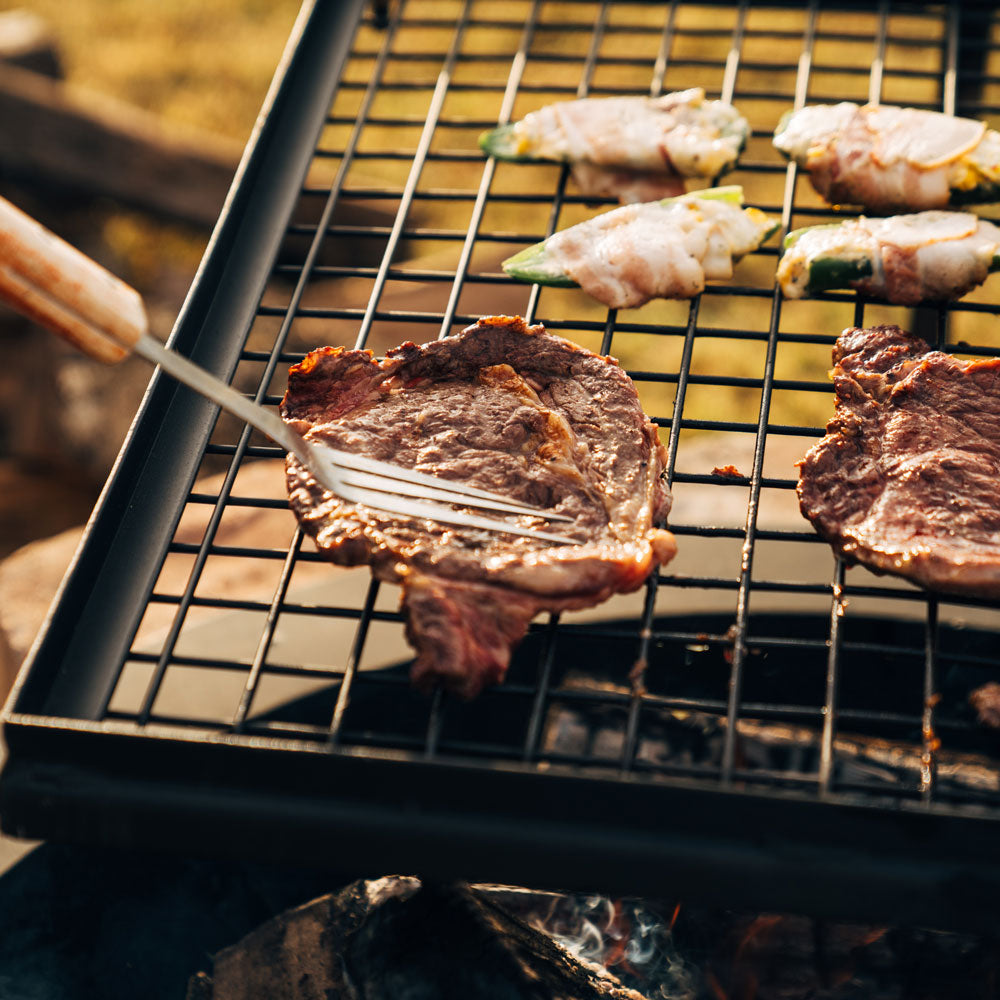Adjustable Swivel Grill Grate