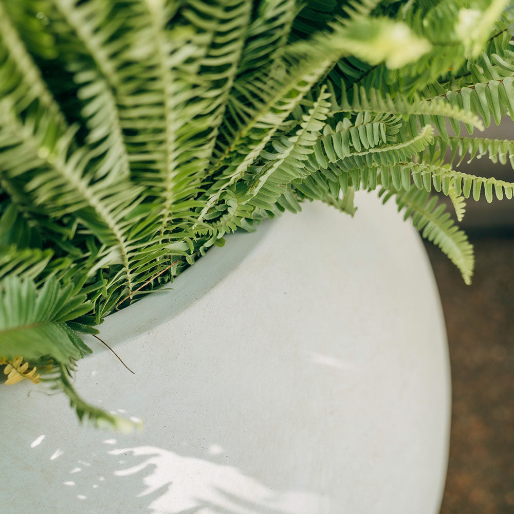Onyx Sphere Planters | Satin Ivory / 16" Diameter - view 4