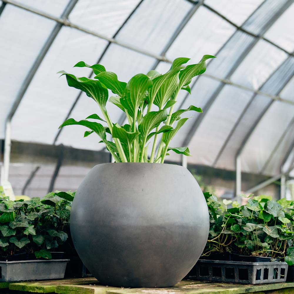 Onyx Sphere Planters | Charcoal / 16" Diameter