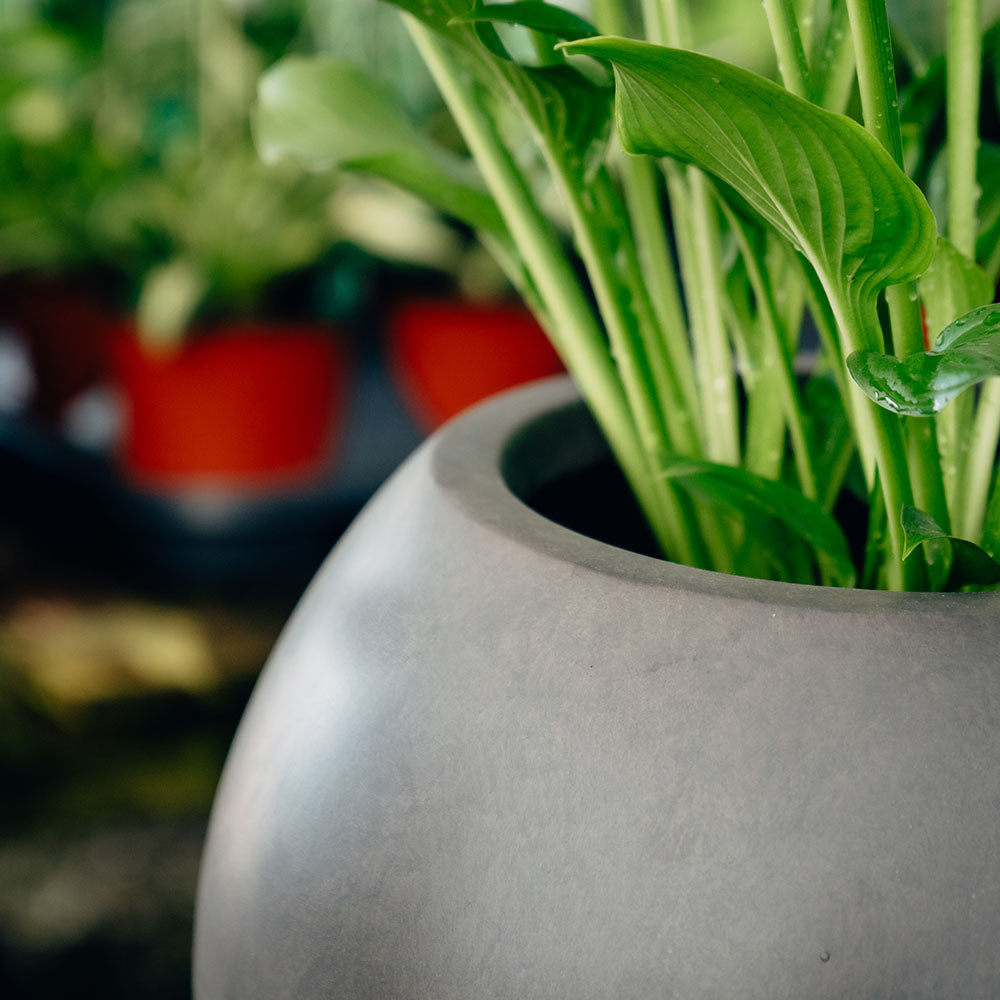 Onyx Sphere Planters | Charcoal / 16" Diameter
