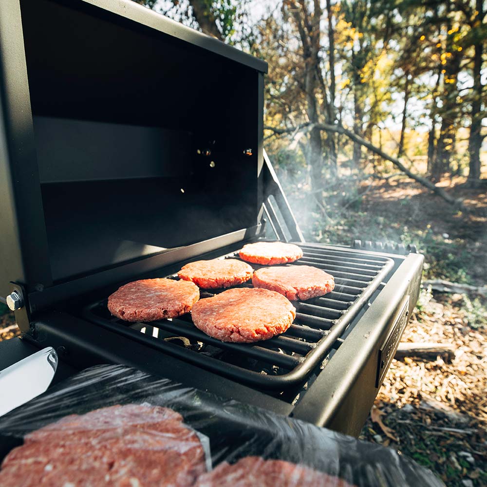 260 Sq. In. Covered Park-Style Grill