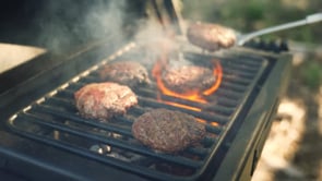 260 Sq. In. Covered Park-Style Grill