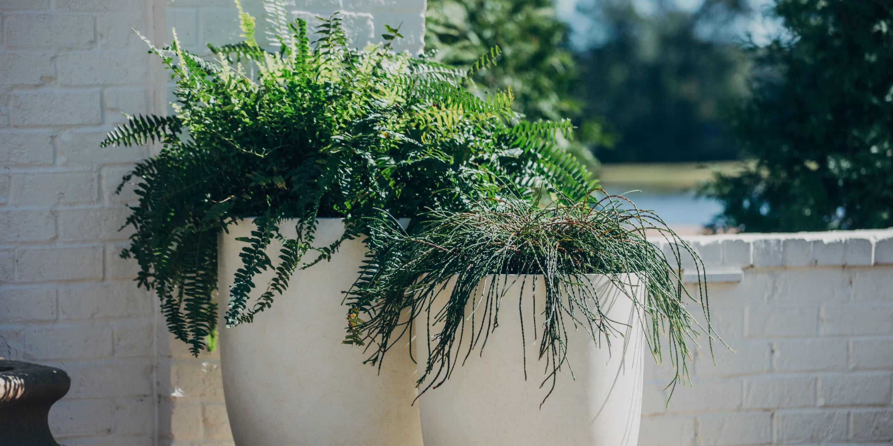 Get Ready <br>For Spring