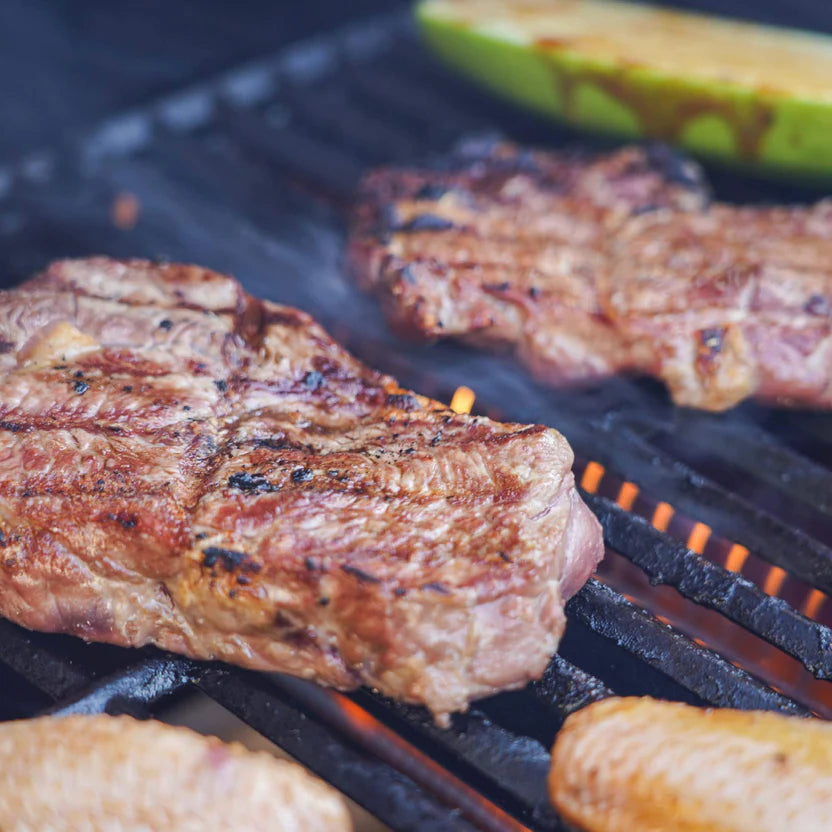 Monument Grills Mesa 415BZ - Stainless Propane Gas Grill | Mesa 415BZ & Smokerbox