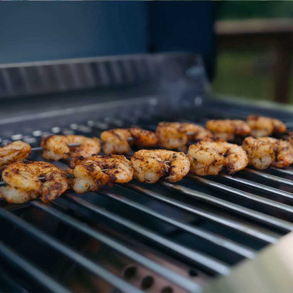 Monument G22 - Stainless Tabletop Propane Gas Grill | G22 & Grill Cover